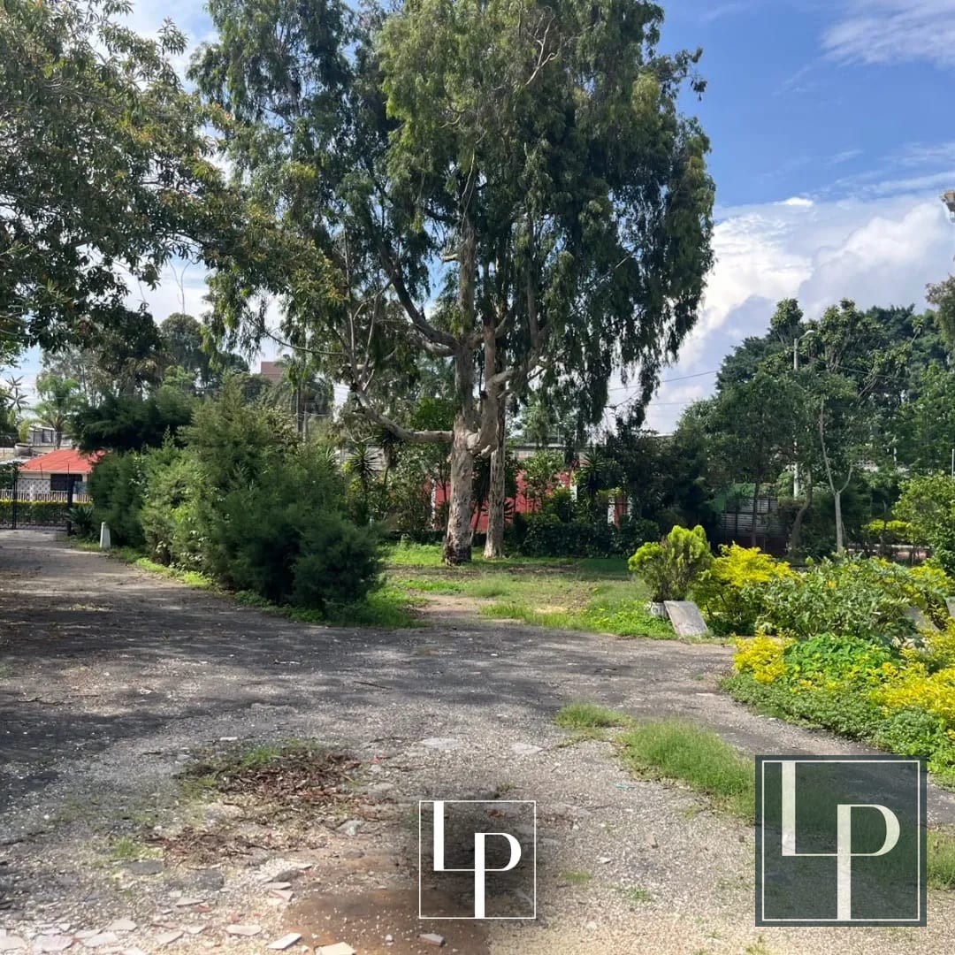 Terreno en Alquiler en zona 11 | Las Charcas — Apartamento en Alquiler en Las Charcas, Zona 11, Guatemala, Ciudad — foto 1 de 6