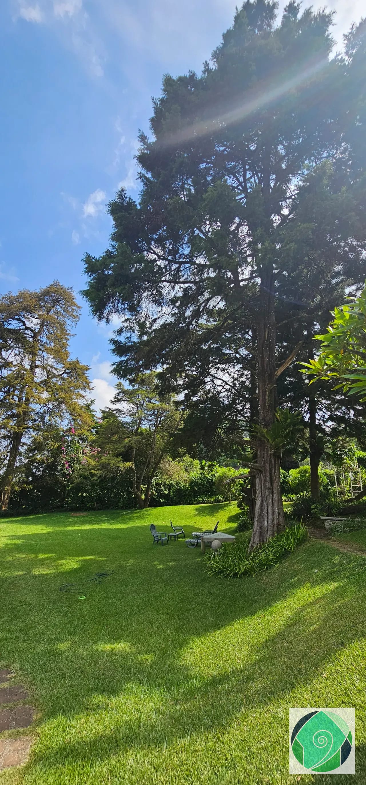 Venta 5 Villas en una Sola Propiedad, en Santa Elena Barillas — Casa vacacional en Venta en Santa Elena Barillas, Guatemala, Ciudad — foto 6 de 16