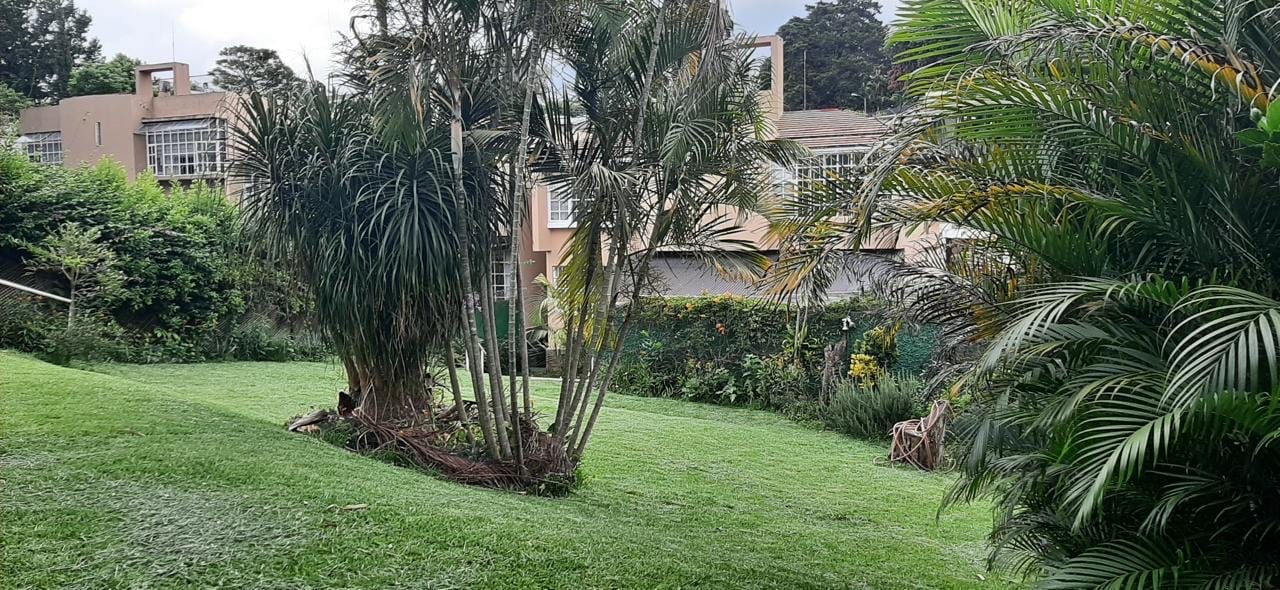 Disponible en Renta Hermosa Casa de Tres Niveles Colonia Elgin Zona 13 — Casa en Alquiler en Elgin, Zona 13, Guatemala, Ciudad — foto 2 de 10