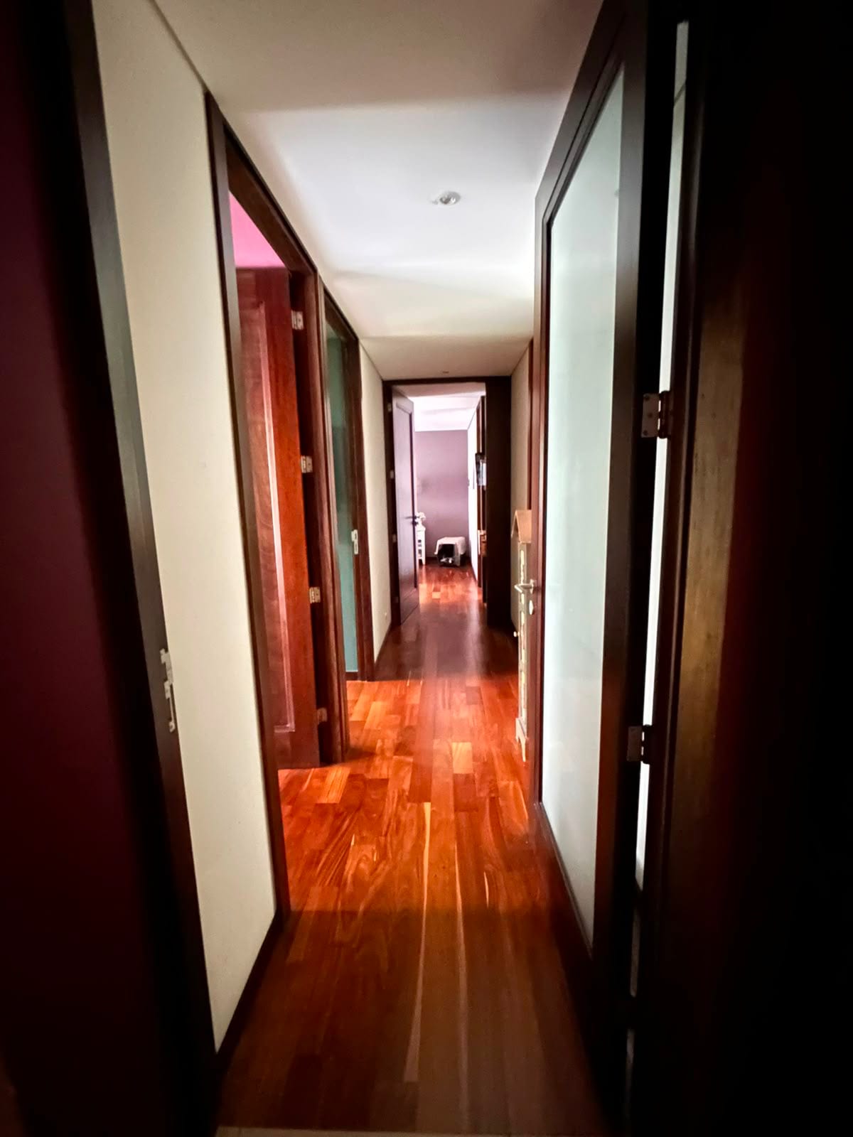 Amplio apartamento con balcón en nivel bajo — Apartamento en Venta en Zona 14, Guatemala, Ciudad — foto 4 de 5
