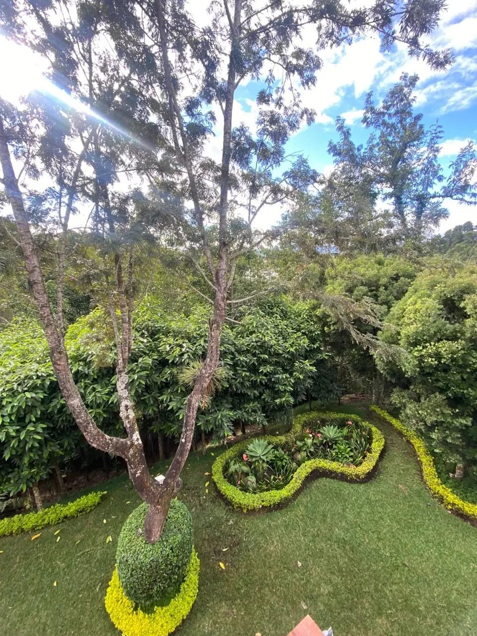 Exclusiva casa en venta en zona 16 — Casa en Venta en San Isidro, Zona 16, Guatemala, Ciudad — foto 12 de 13