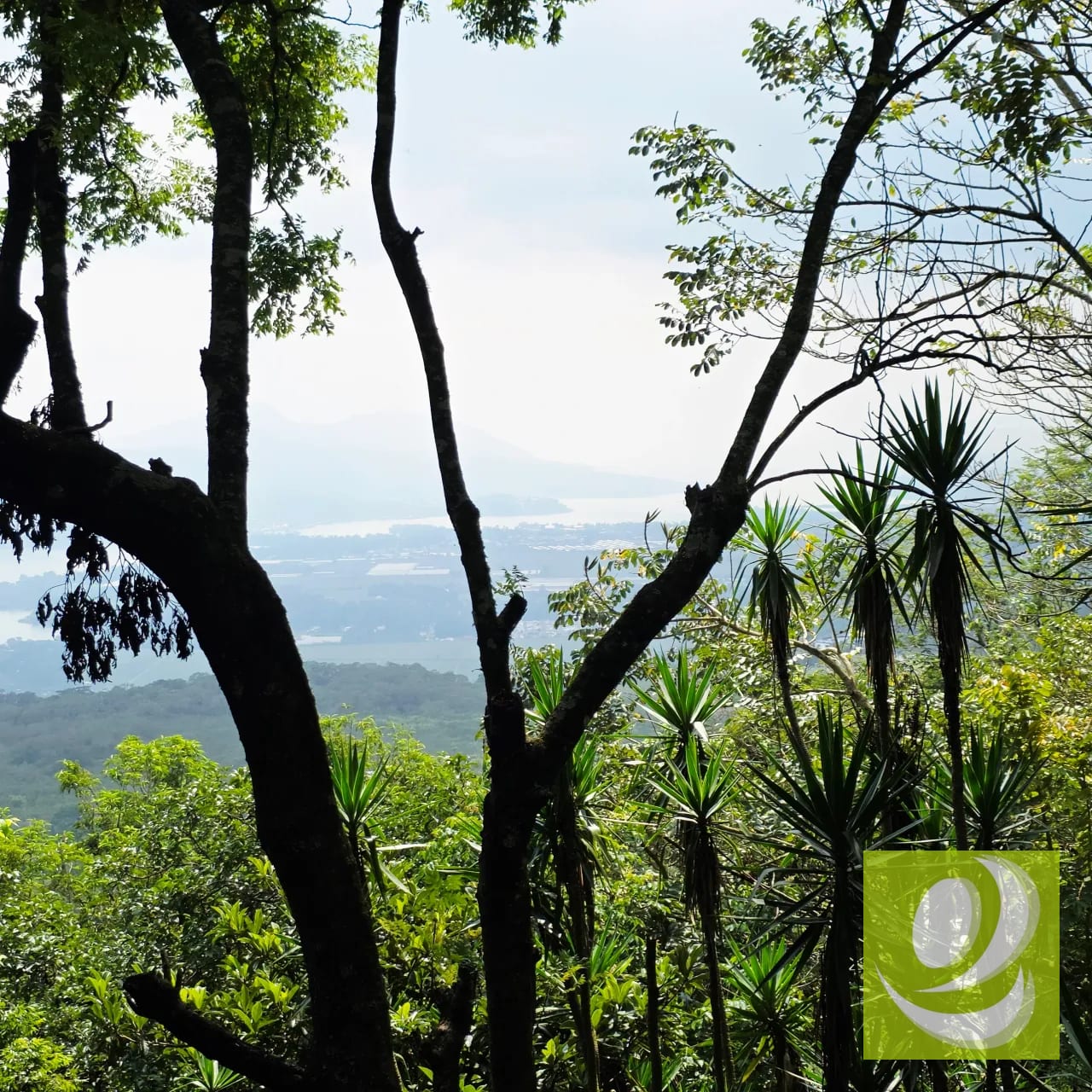 Se vende 4363 v2 con espectacular mirador santa Elena Barillas — Casa en Venta en Santa Elena Barillas, Guatemala, Ciudad — foto 14 de 15