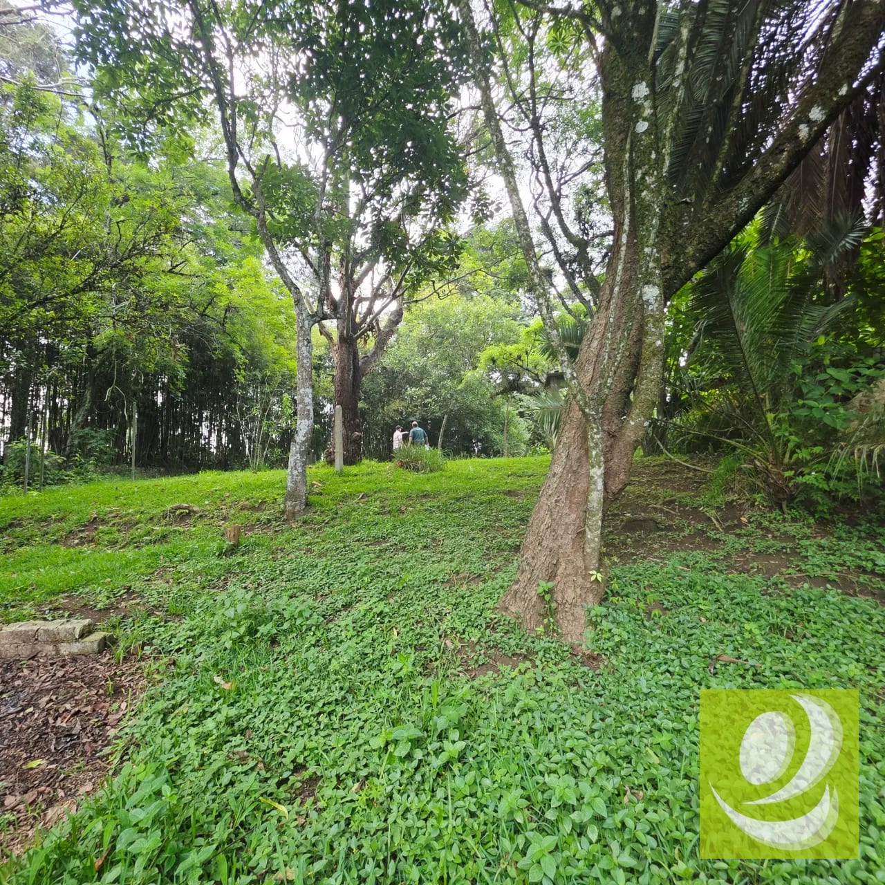 Venta Casa Invierte en una joya campestre con potencial comercial — Casa en Venta en Santa Elena Barillas, Guatemala, Ciudad — foto 1 de 7