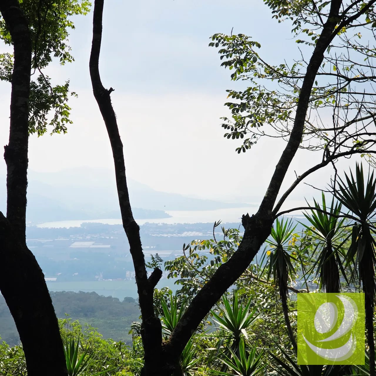 Venta Casa Invierte en una joya campestre con potencial comercial — Casa en Venta en Santa Elena Barillas, Guatemala, Ciudad — foto 2 de 7
