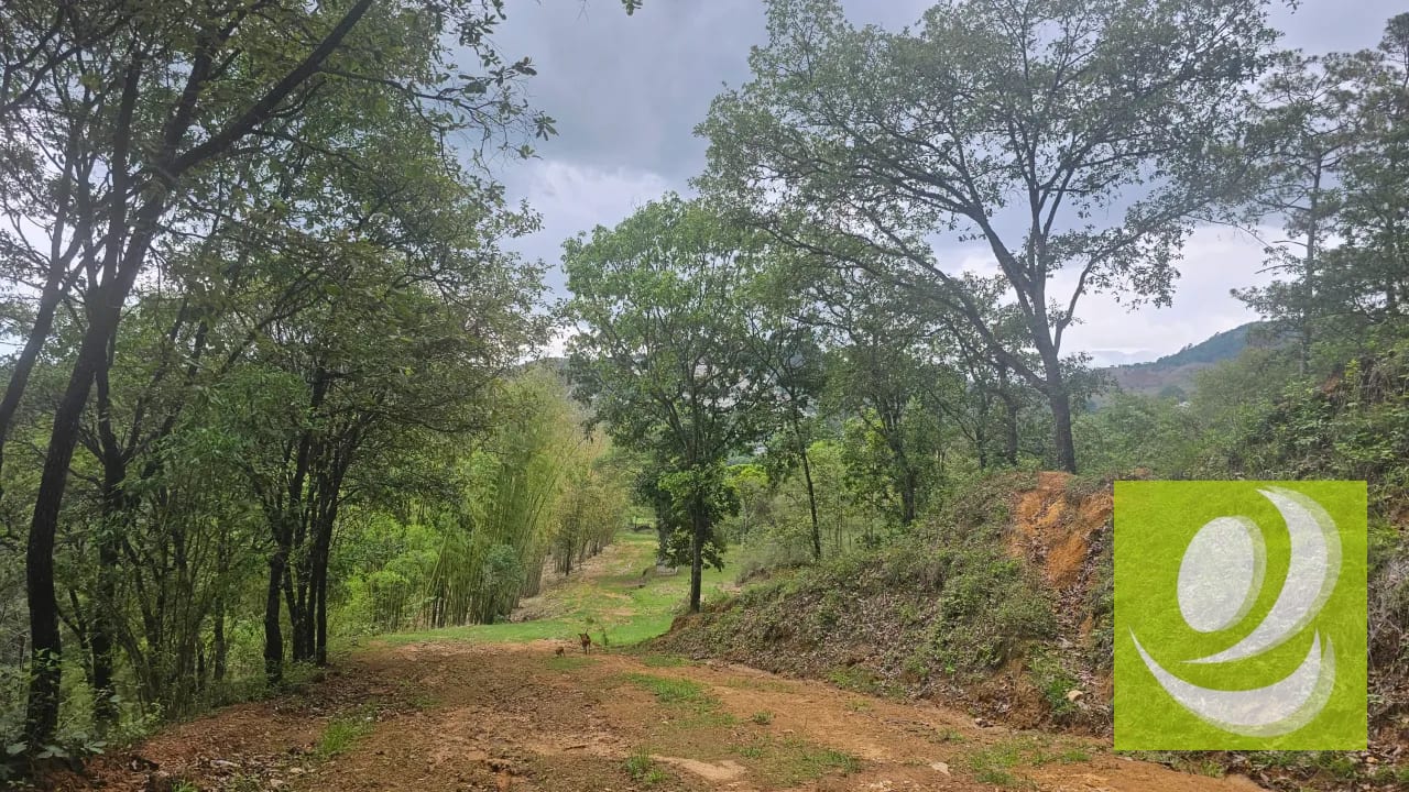 Terreno en Renta 12Mnz en Chinautla — Casa en Alquiler en Chinautla, Guatemala, Ciudad — foto 2 de 7