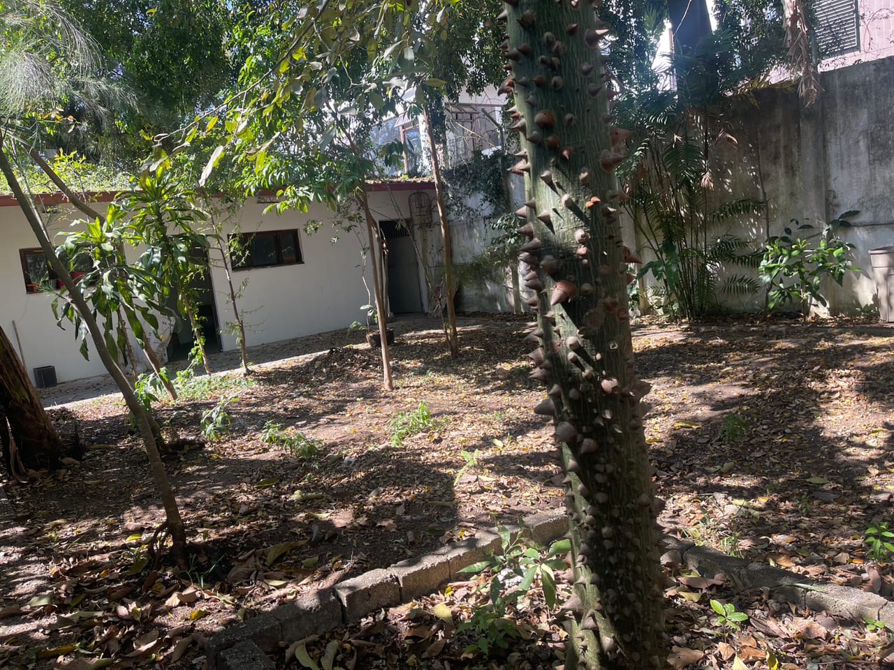 🏡✨ Casa en Venta en Zona 14 - con Jardín ✨🏡 — Casa en Venta en La Villa, Zona 14, Guatemala, Ciudad — foto 7 de 7