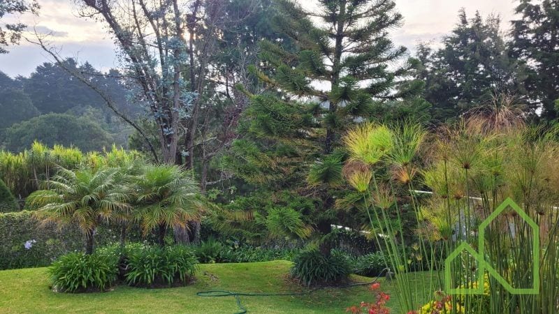 Casa y Terreno 1,000v2 en Venta en Paraje Solar — Casa en Venta en Carretera a El Salvador, Guatemala, Ciudad — foto 1 de 15