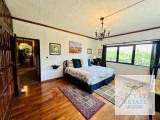 Excepcional Casa Residencial En Renta En San Rafael 1, Km 9 CAES: Grandiosidad y Elegancia en 1,025 m² — Casa en Alquiler en San Rafael, Carretera a El Salvador, Guatemala, Ciudad — miniatura 7 de 17