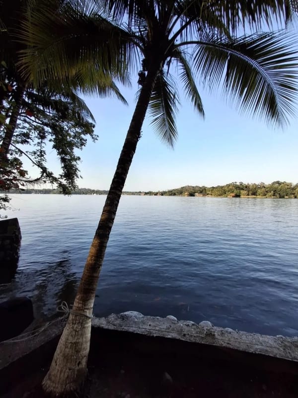 Casa en Arrendamiento - Isla los Zanates Rio Dulce — Casa vacacional en Alquiler en Río dulce, Izabal — foto 4 de 7
