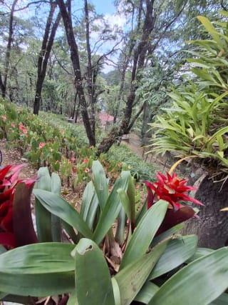 Casa en Venta - Tronco 2 EL ENCINAL Zona 7 Mixco — Casa en Venta en El Encinal, Zona 7 Mixco, Guatemala, Ciudad — miniatura 3 de 15