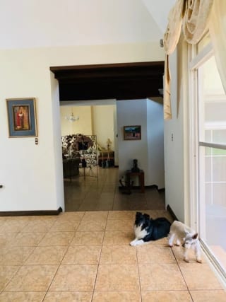 🏠Se vende casa de un nivel con hermoso jardín, en Casa y Campo, Carretera a El Salvador — Casa en Venta en Carretera a El Salvador, Guatemala, Ciudad — miniatura 3 de 17