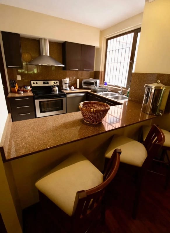 Apartamento con Jardín - Zona 14 — Apartamento en Venta en Plenum 14, Zona 14, Guatemala, Ciudad — foto 10 de 12