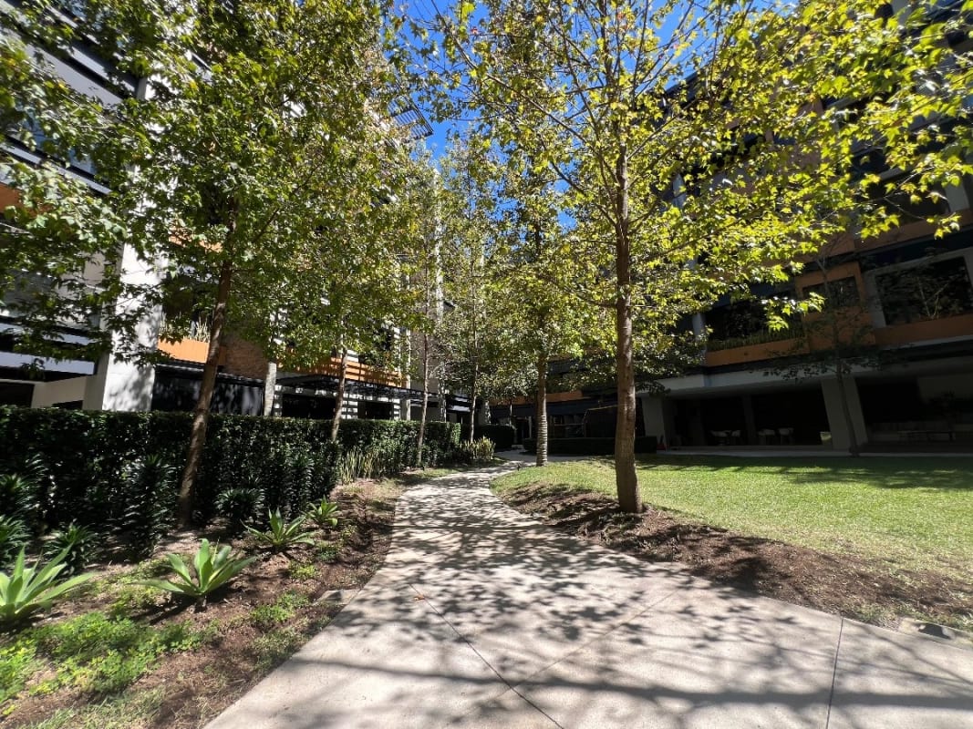 Apartamento Venta Zona 10,EDIFICIO Exclusivo Maranta Oakland , 2 Dormitorios, Sala Familiar, 2 Parqueos , Bodega + Dormitorio de Servicio $550,000 + Impuestos — Apartamento en Venta en Zona 10, Guatemala, Ciudad — foto 14 de 17