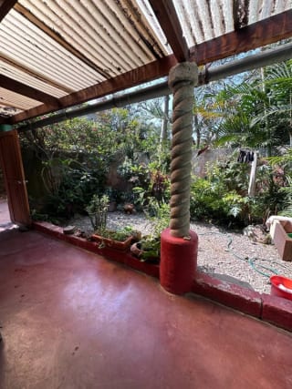 Panajachel propriedad Unica en el centro de Jucanya — Casa en Venta en Panajachel, Sololá — miniatura 14 de 14