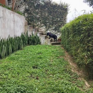 Vendo casa exclusiva En Monte Bello km. 9.5 Carretera al Salvador. — Casa en Venta en Santa Catarina Pinula, Carretera a El Salvador, Guatemala, Ciudad — miniatura 2 de 17