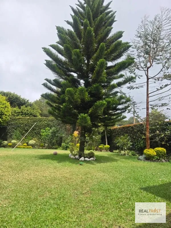 Amplia casa en venta Km 18.5 carretera el salvador — Casa en Venta en km 16-20, Carretera a El Salvador, Guatemala, Ciudad — foto 6 de 13